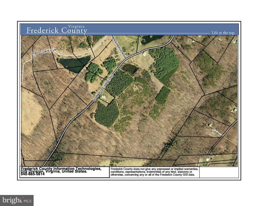 Fantastic opportunity near Winchester, Virginia.  Nearly 65 acres of beautiful, rolling land -- wooded -- pond -- perfect for small farm, hunting, or retreat.  Approximately 2500 feet of frontage on Paved, state maintained road -- potential for division.    A great investment for the future.