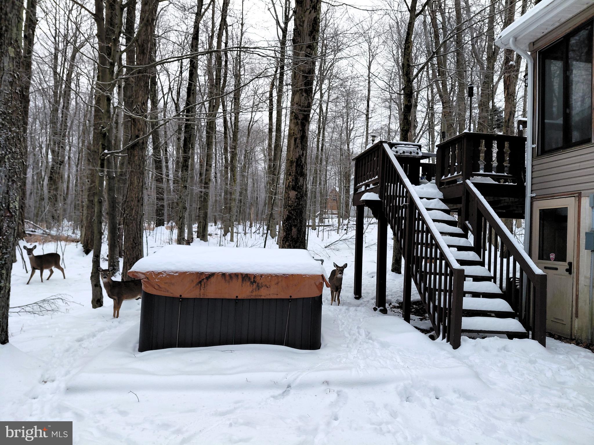 POCONO COUNTRY PLACE - Residential