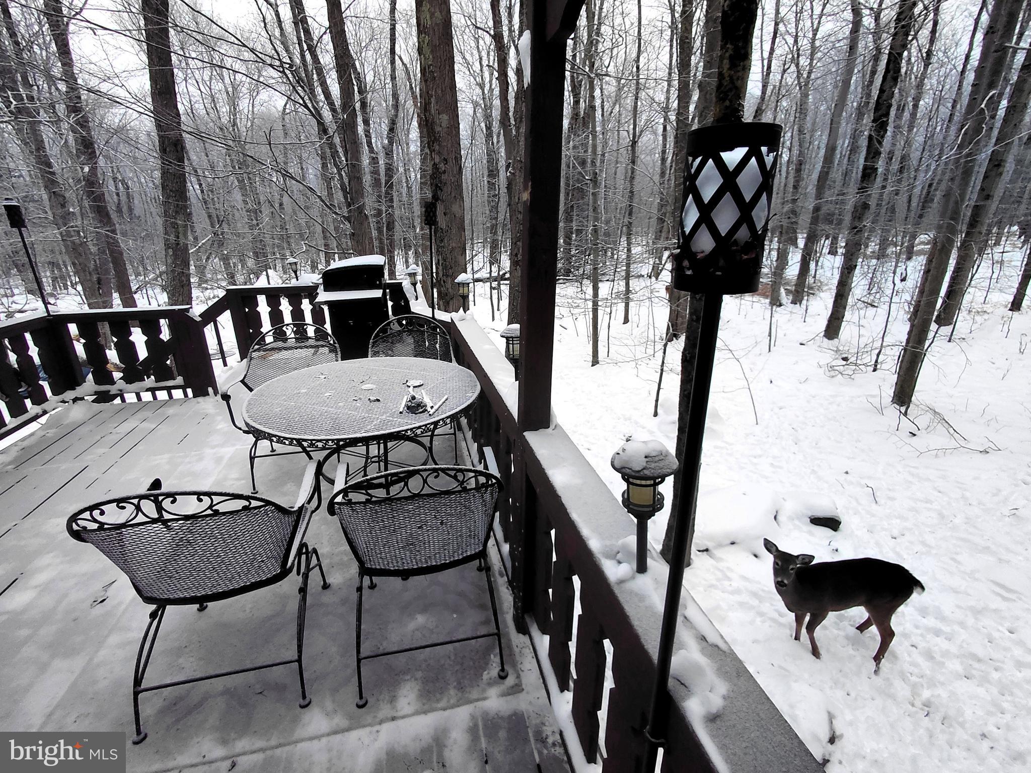 POCONO COUNTRY PLACE - Residential