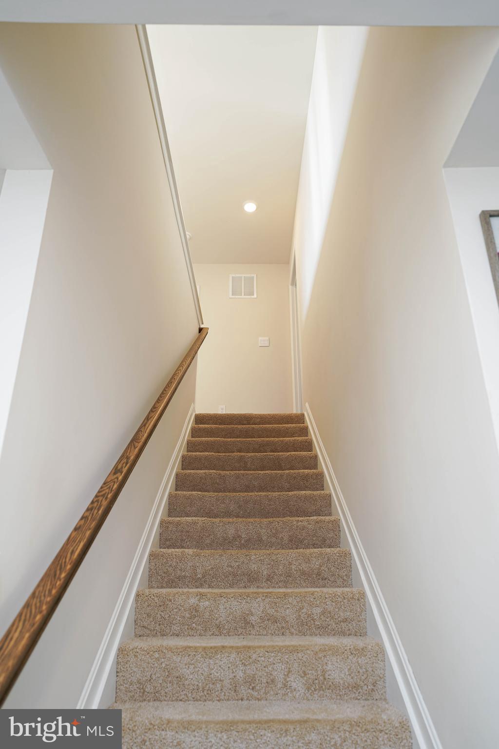 SASSAFRAS MEADOWS - Residential