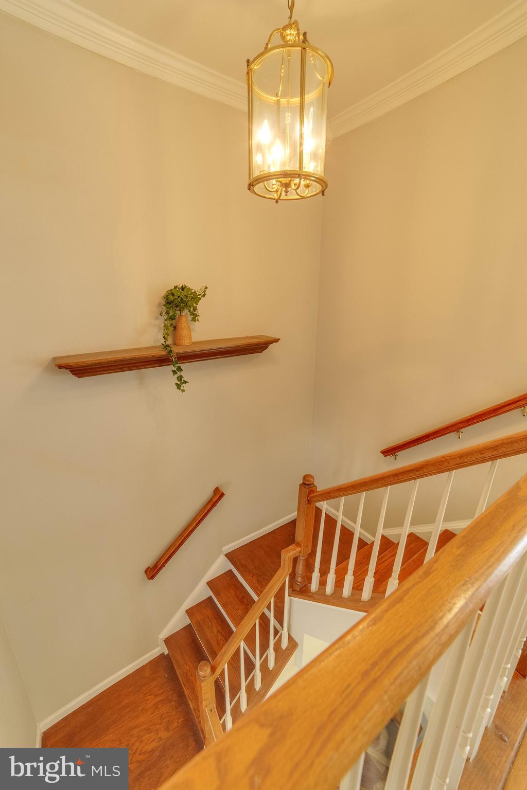SHEFFIELD MANOR - Residential