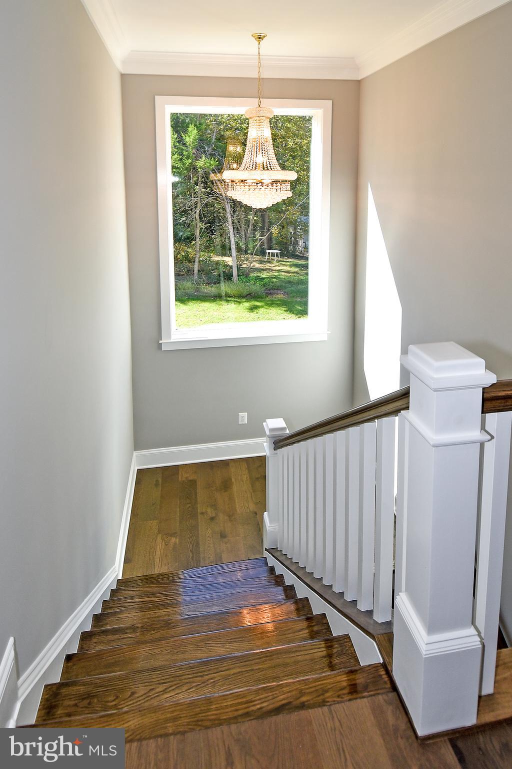 STAFFORD HEIGHTS - Residential