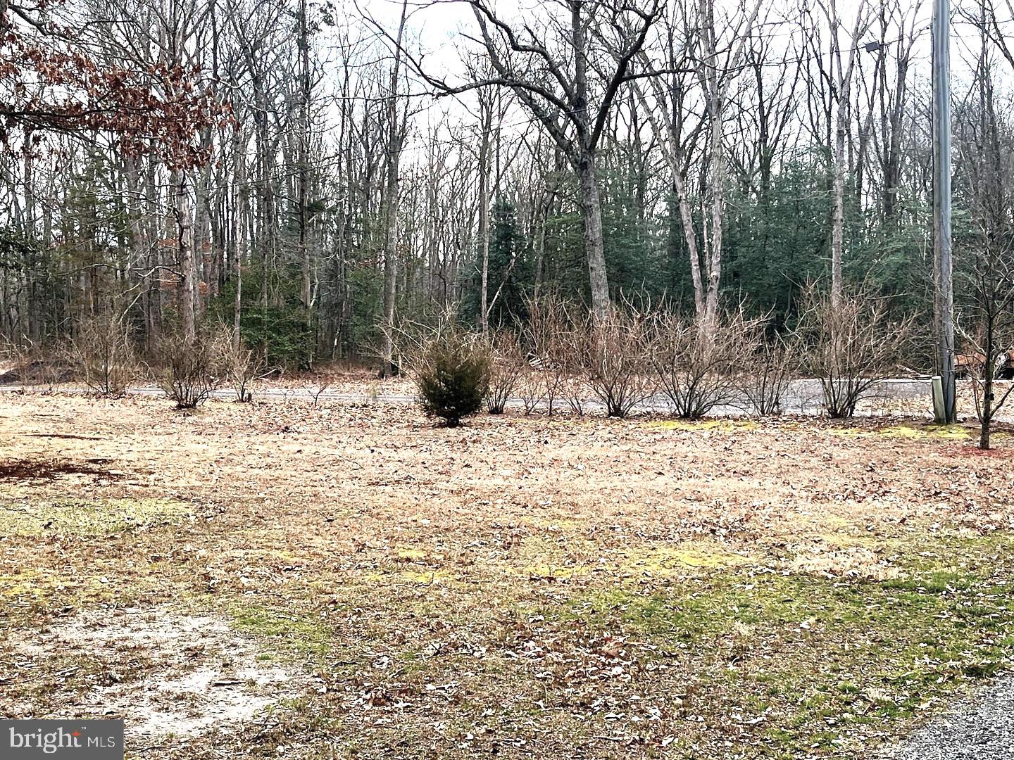 NONE AVAILABLE - Residential