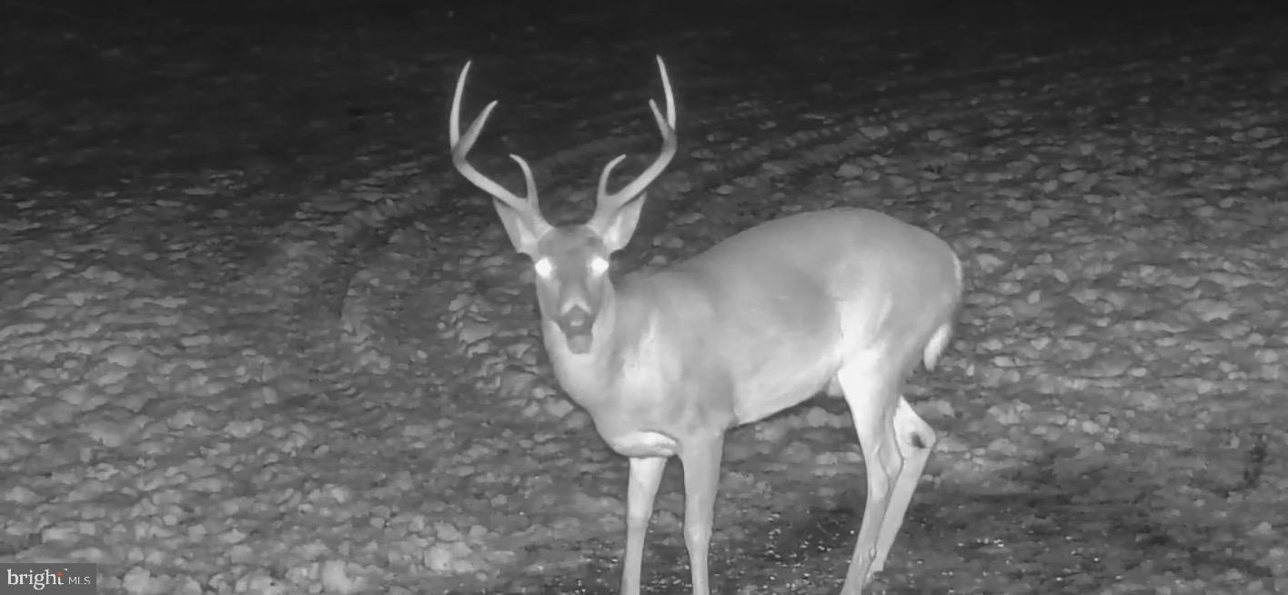 SOUTHAMPTON TWP - Farm