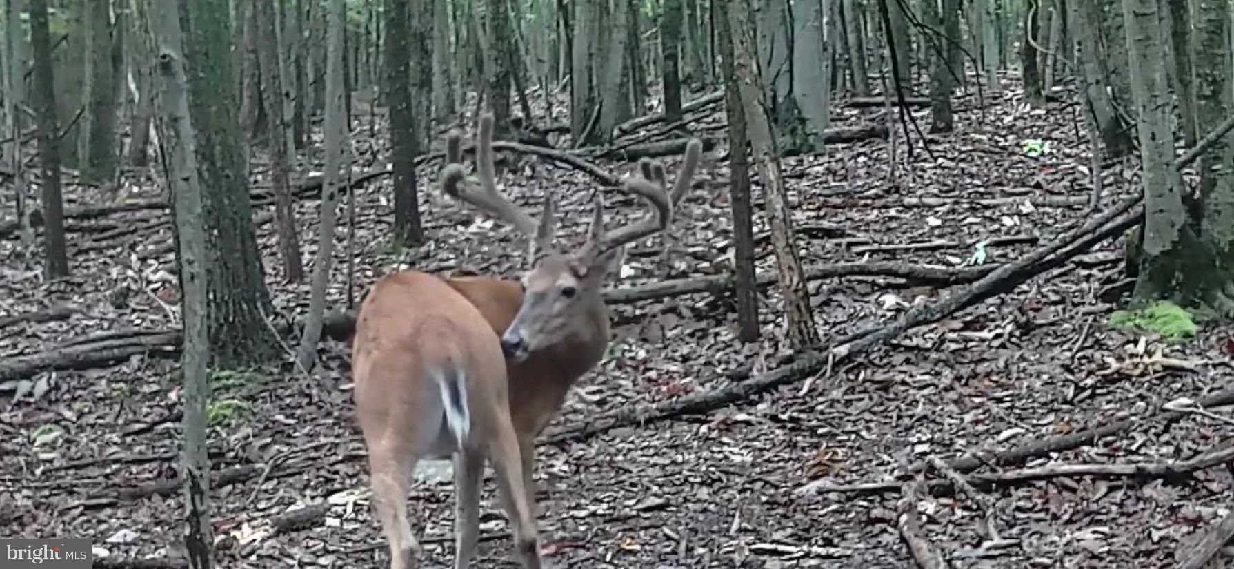 SOUTHAMPTON TWP - Farm