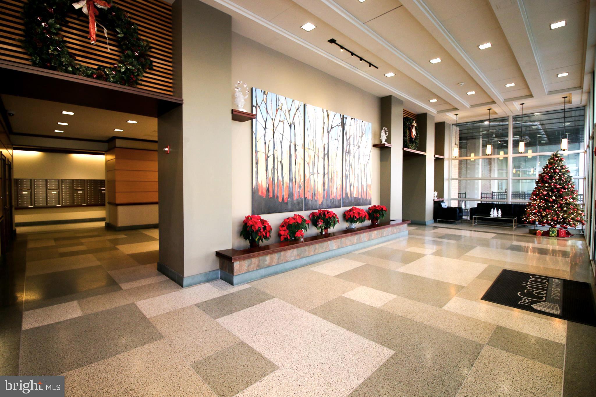 THE CARLTON - Residential