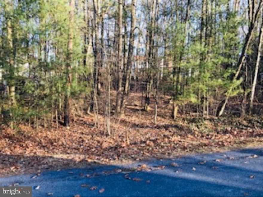 Flat, .3 acre wooded lot on quiet street in Blue Mountain School District. Beautiful, natural setting. Opportunity abounds for home of your choice to be built on this serene lot close to front gate. Lake Wynonah is a gated community; amenities include 2 fresh-water lakes, community pool, clubhouse, social clubs, tennis/pickleball courts, waterskiing, wakeboarding, paddleboarding, fishing and 24/7 security. Photos of Non-Lakefront lot, Creek Drive and Lake Wynonah.