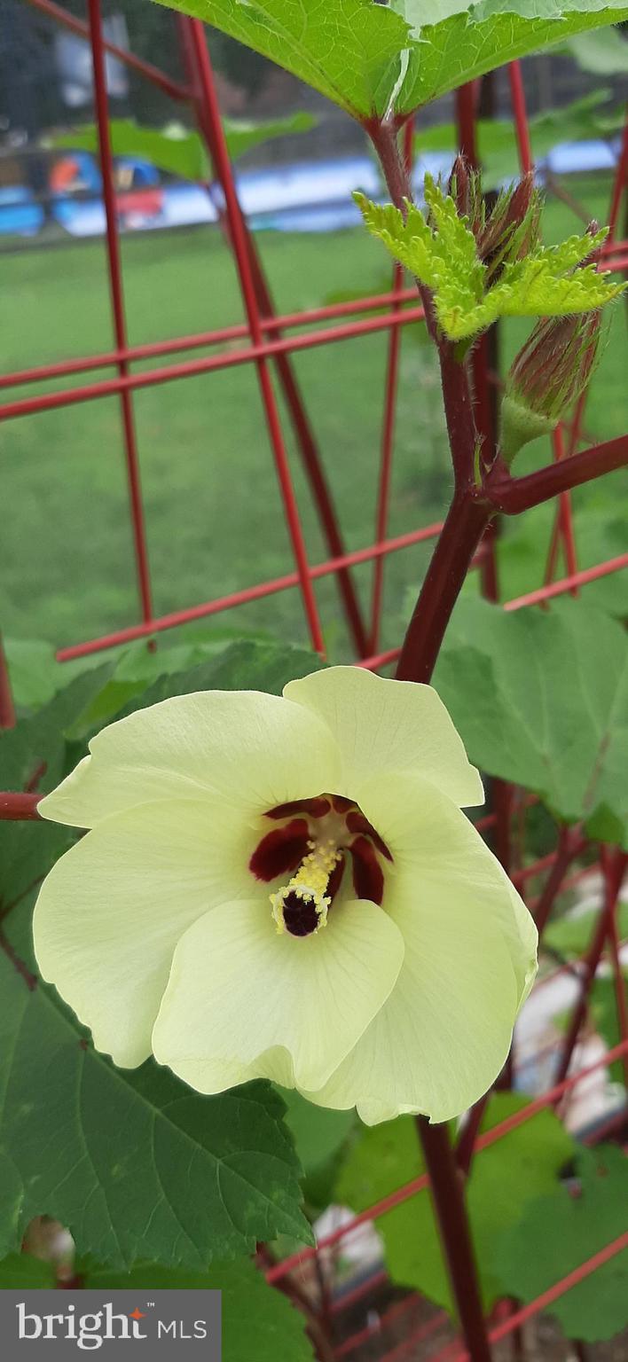 POTOMAC CROSSING - Residential