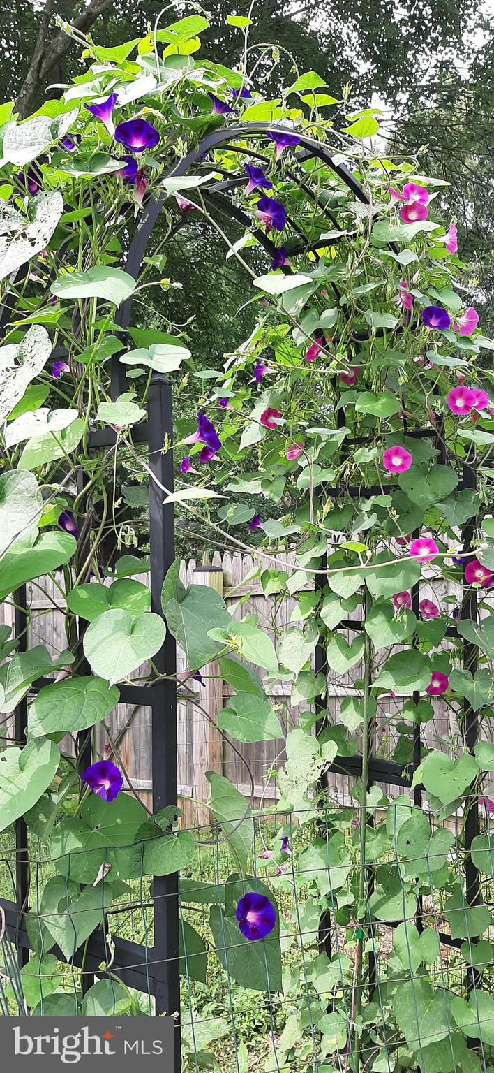 POTOMAC CROSSING - Residential