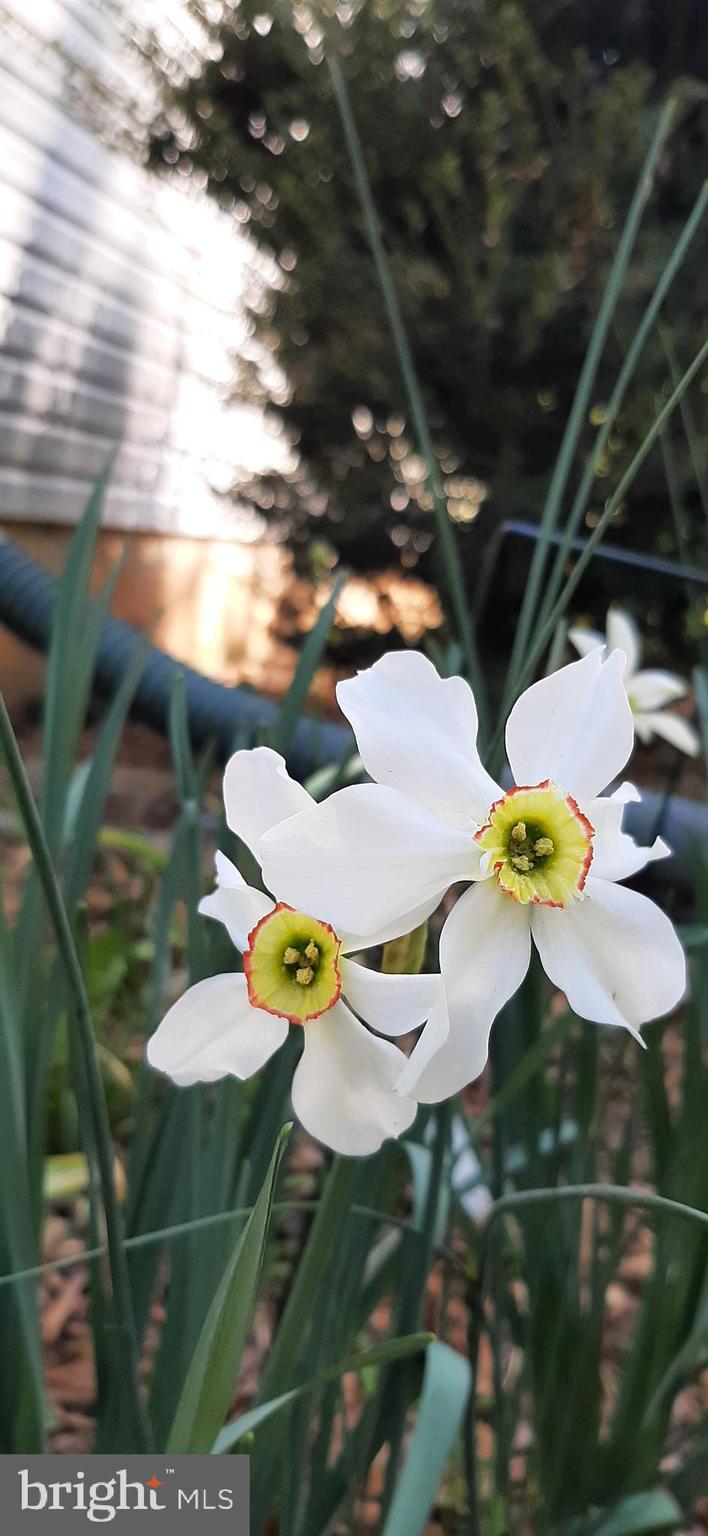 POTOMAC CROSSING - Residential