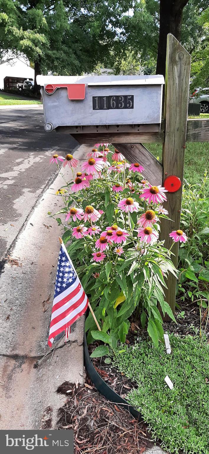 POTOMAC CROSSING - Residential