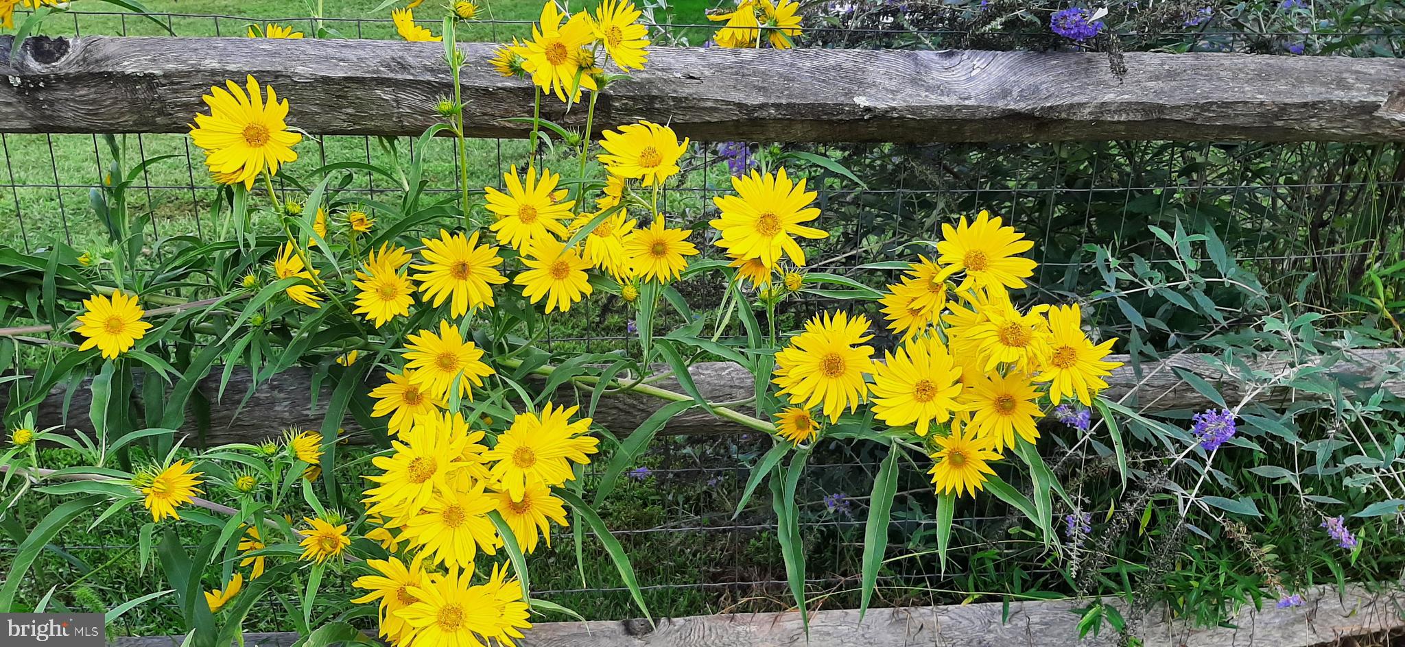 POTOMAC CROSSING - Residential