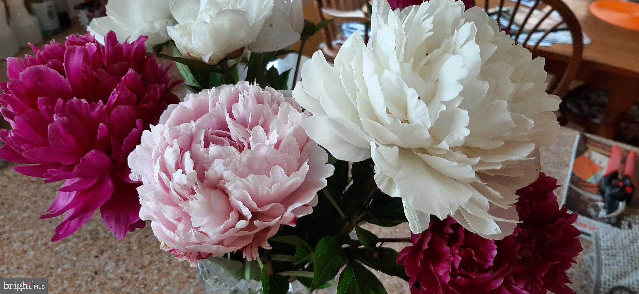 POTOMAC CROSSING - Residential