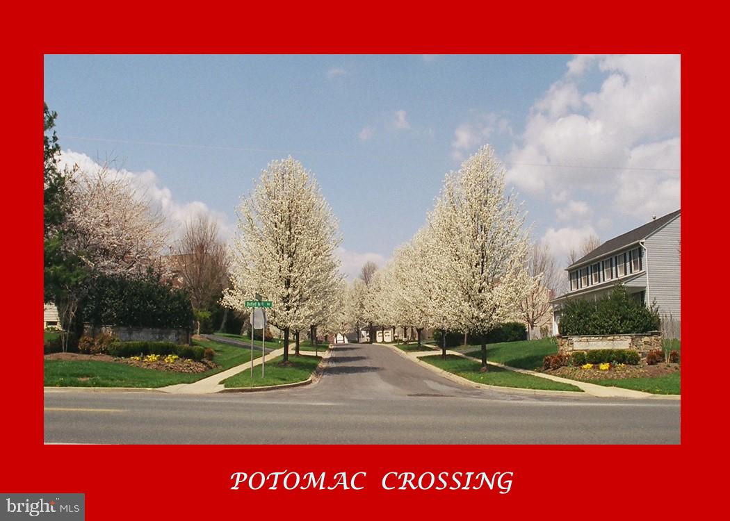 POTOMAC CROSSING - Residential