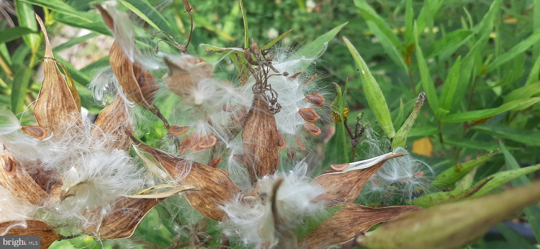 POTOMAC CROSSING - Residential