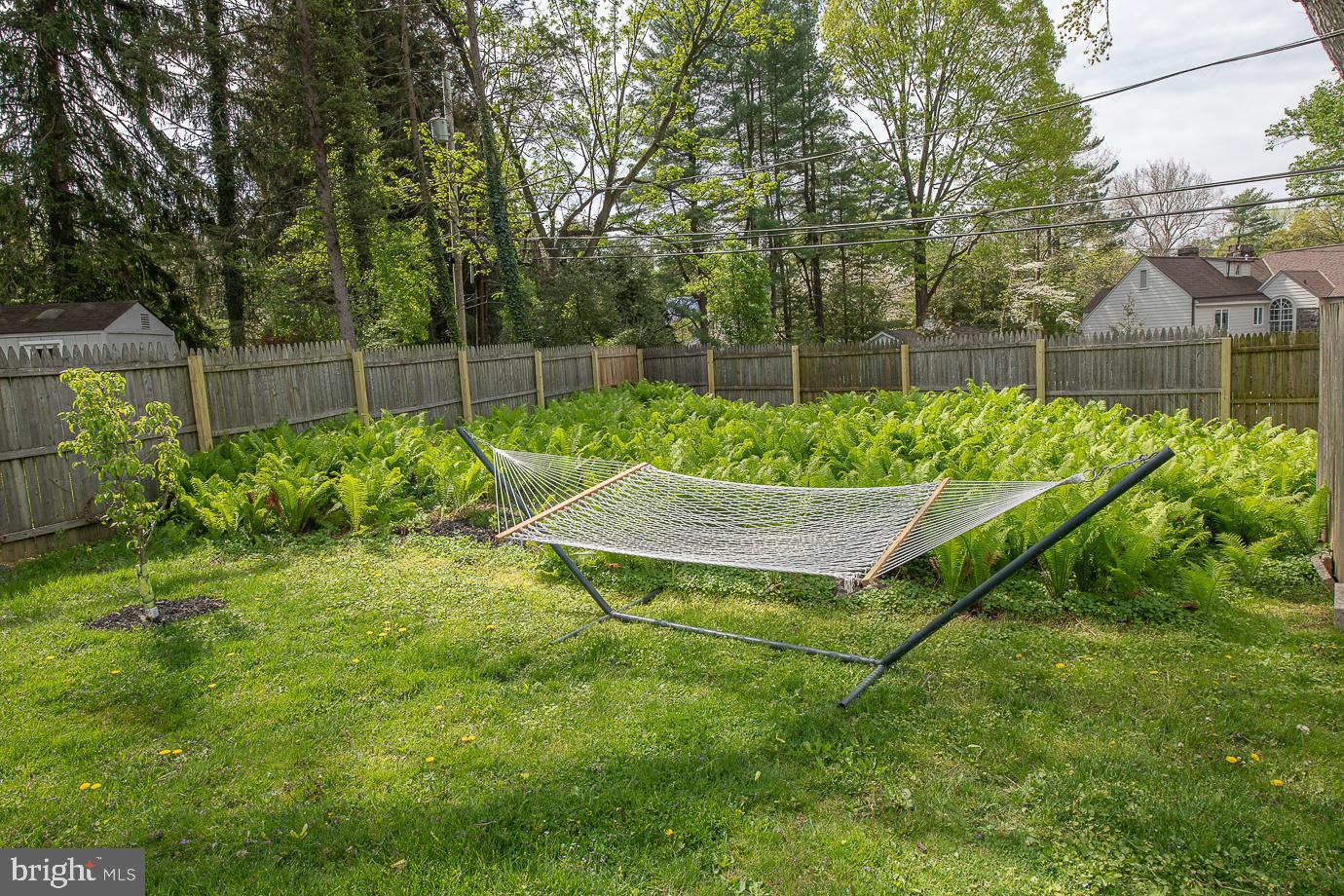 BRYN MAWR - Residential