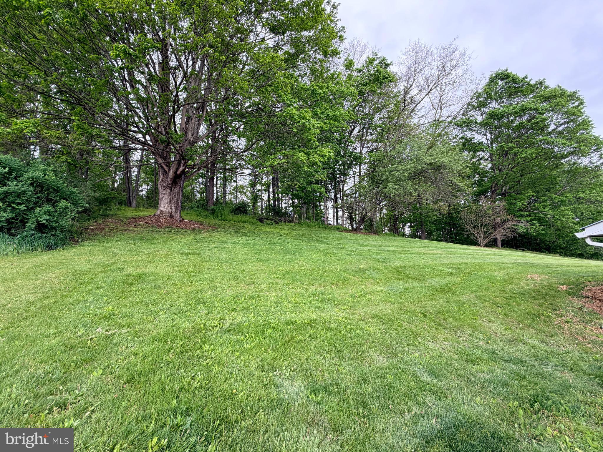 2878 PLUM HOLLOW