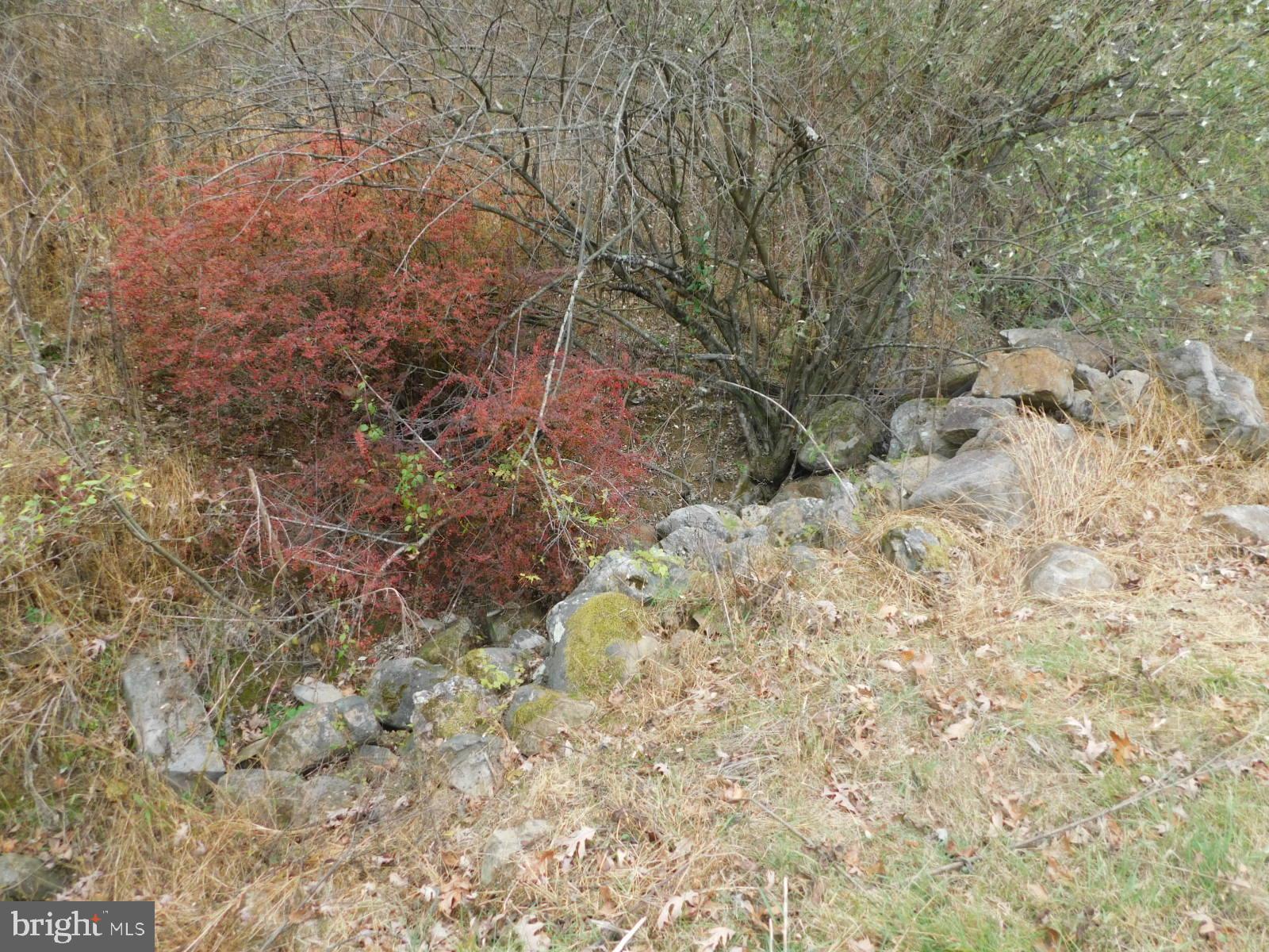 LOST RIVER VALLEY (LRVPOA) - Residential