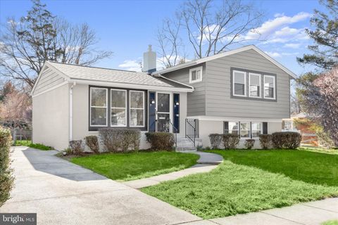 13218 HOLDRIDGE ROAD SILVER SPRING MD 20906