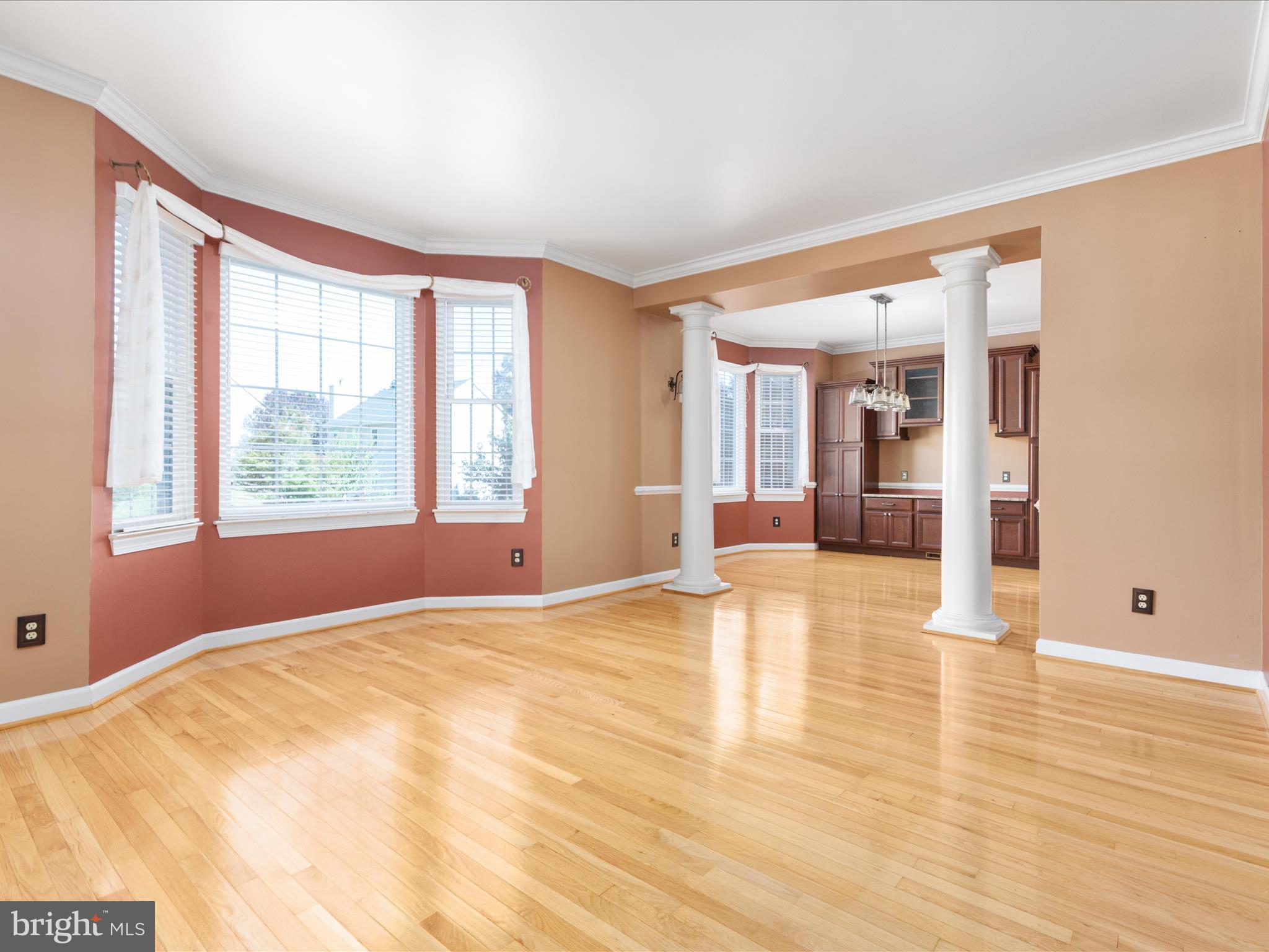 46425 MEANDERS RUN COURT