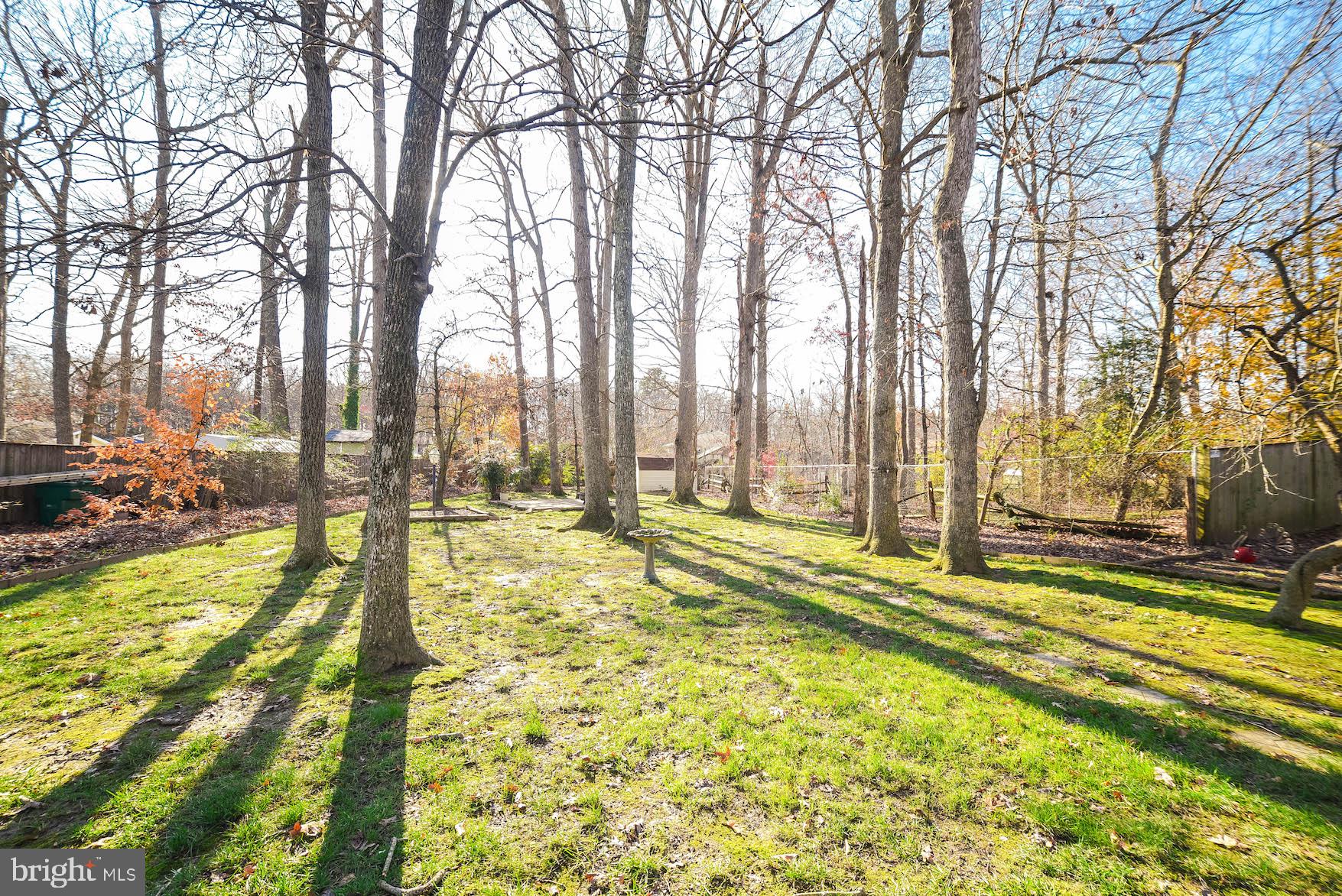 PINEFIELD - Residential