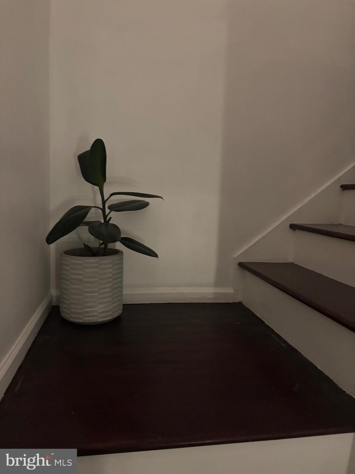 TAVISTOCK - Residential