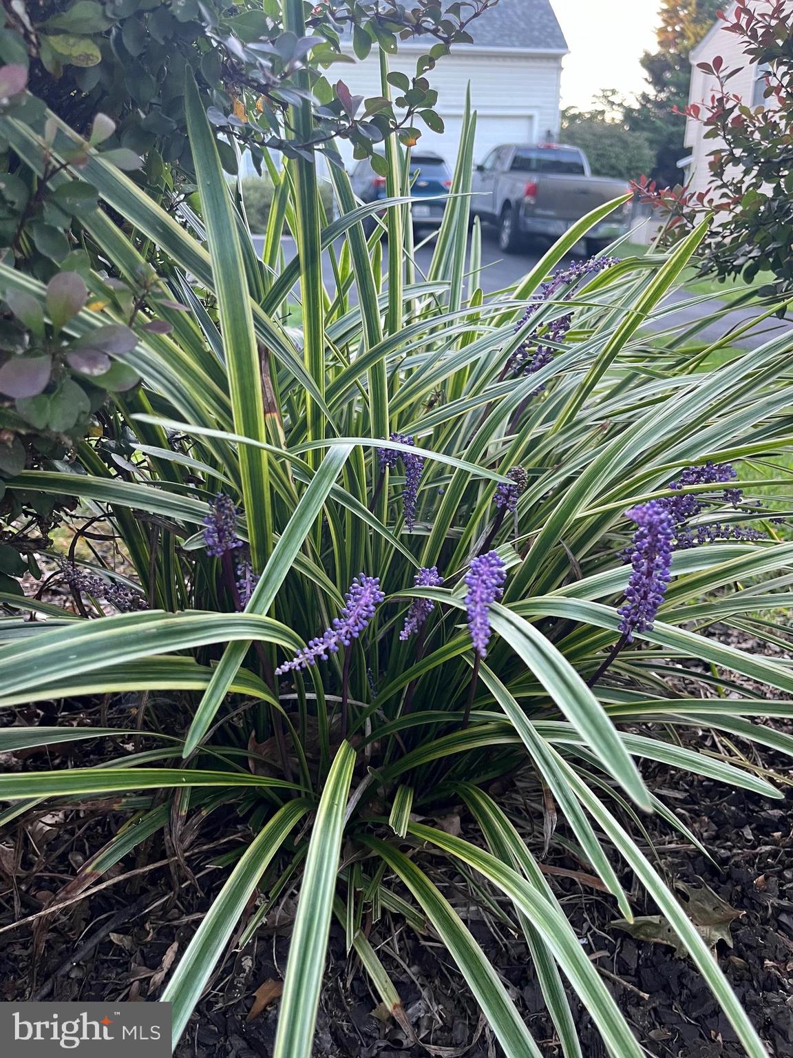 HONEYGO RIDGE - Residential