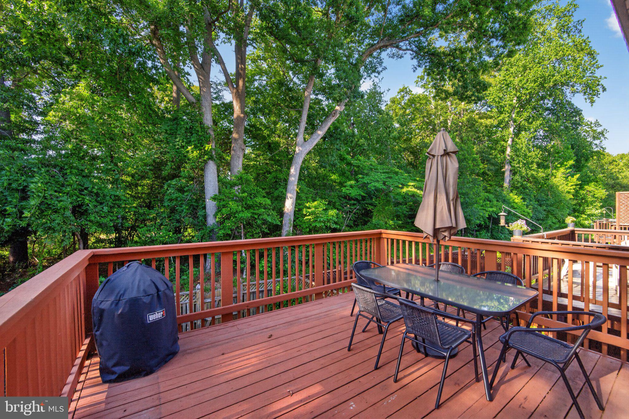 1427 ANNA MARIE COURT