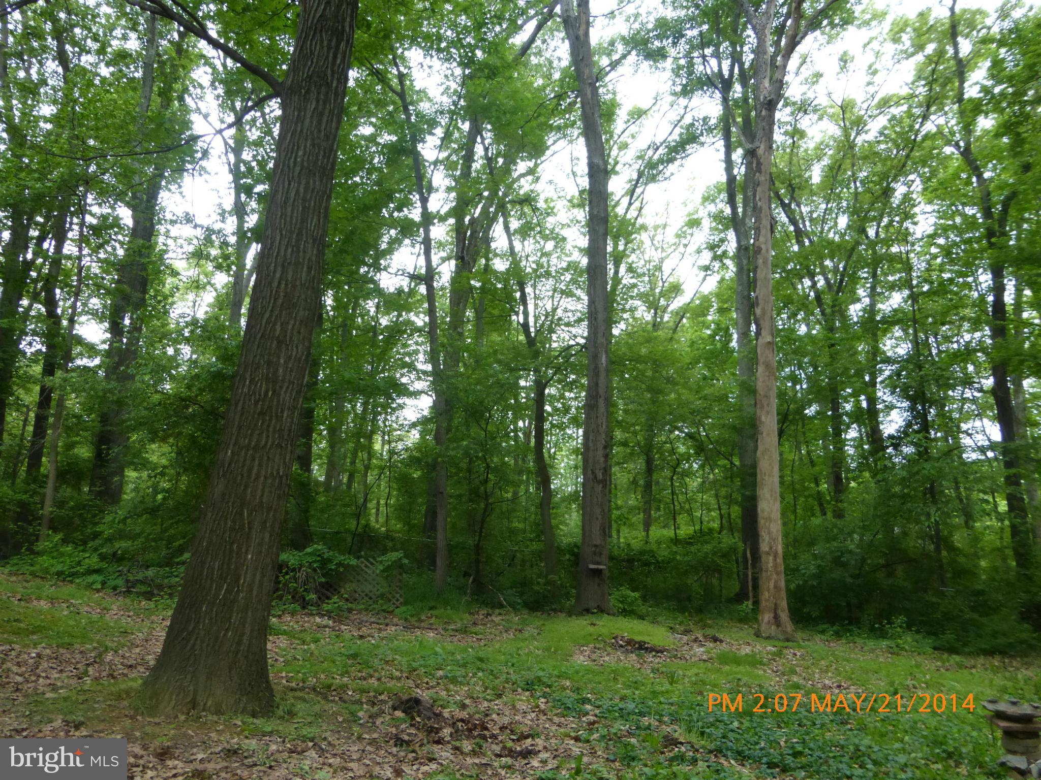 SHANNONDALE - Residential