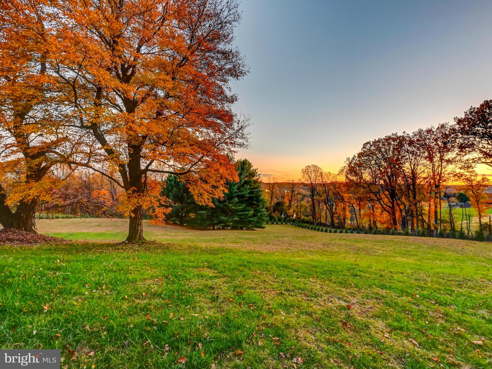 FALLS ROAD CORRIDOR - Residential