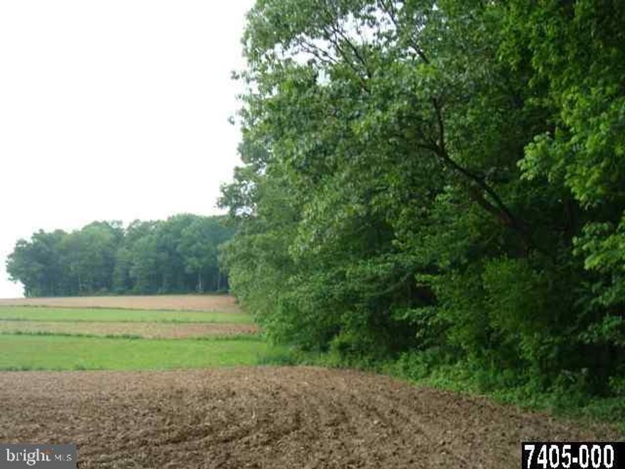 Wooded lot close to the PA/Maryland border. (Line Rd. is the border). Farms surround the wooded lot with a horse farm across from the property on the Maryland side.  There is supposed to be a well property, location unknown.  Property also has a perc, location unknown.