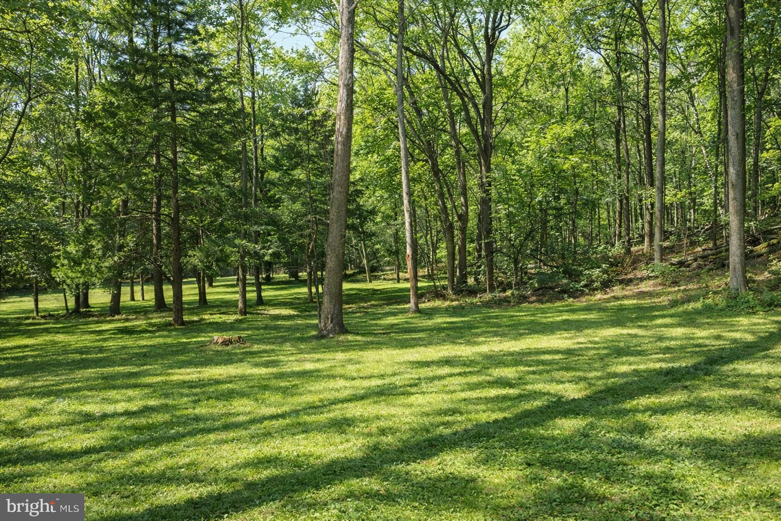 SCHWENKSVILLE - Residential