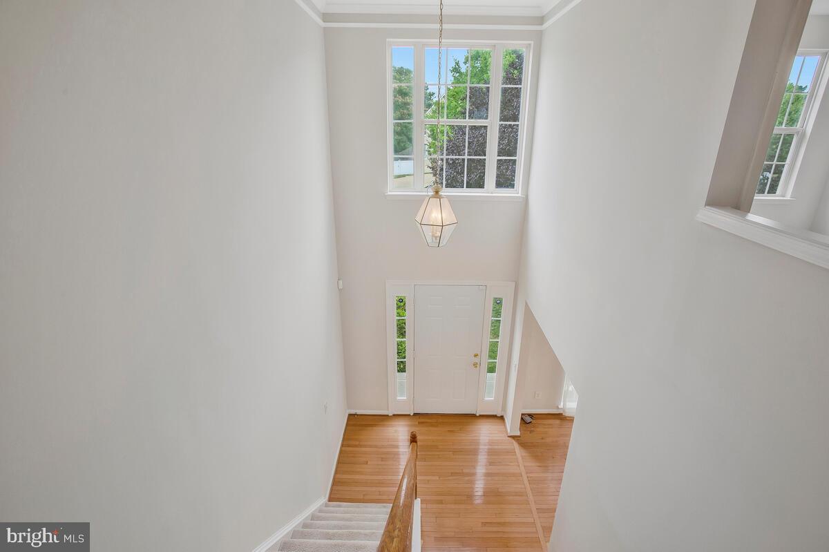 KINGSVIEW - Residential