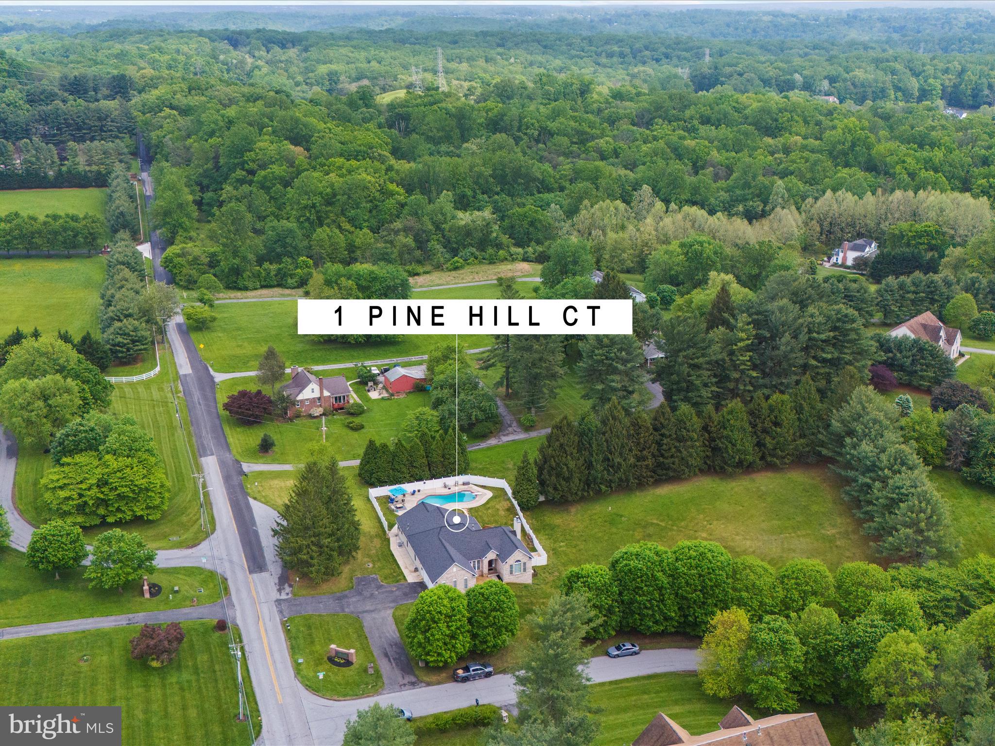 1 PINE HILL COURT