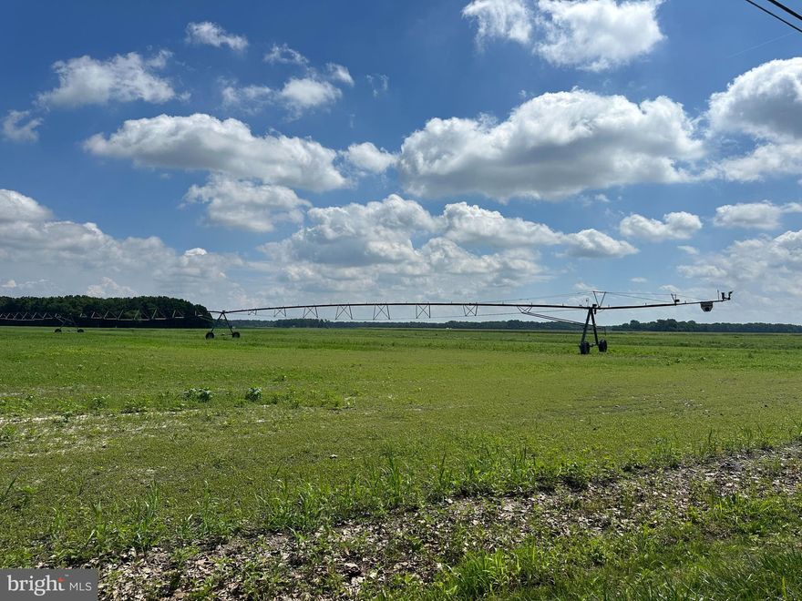 Apx. 227 acres which front on two (2) separate county roads (1,590' on Gordy Rd., and 700' on Trussum Pond Rd).  194 Tillable acres, 31 wooded acres.  Sale also includes four (4) Reinke pivot systems (two 4-tower, one 6-tower, and one 8-tower) plus three 12" irrigation wells.  Current agricultural lease expires Dec. 2025.  This wonderful farm also includes a 3-bay concrete block outbuilding, a large metal pole building with lean-to/canopy, and a block utility shed. In addition, a1,690 sq. ft. brick ranch home offers 3 BRs, 1.5 BAs, FR, kitchen with island, laundry, and attached double garage.