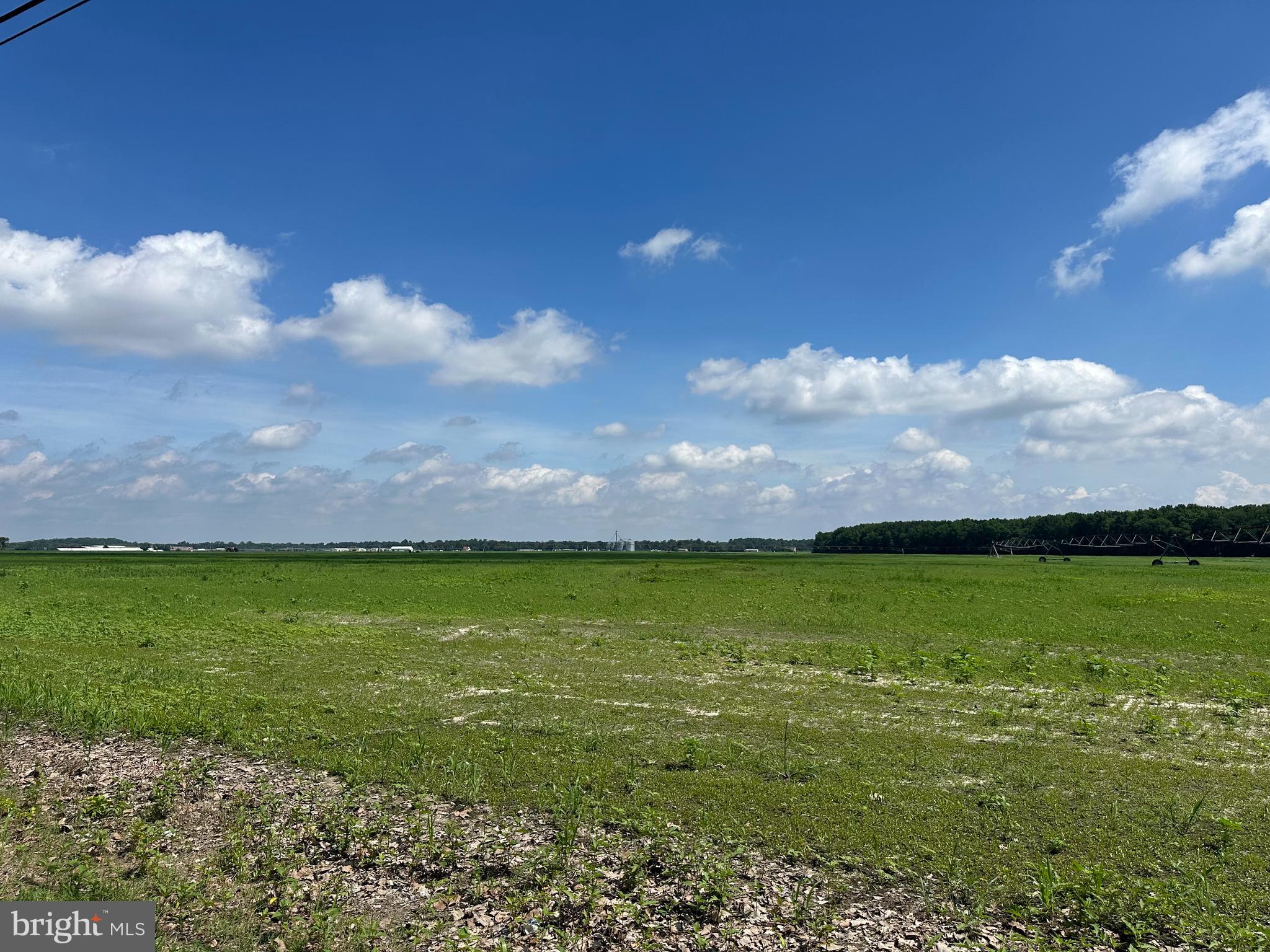 NONE AVAILABLE - Farm