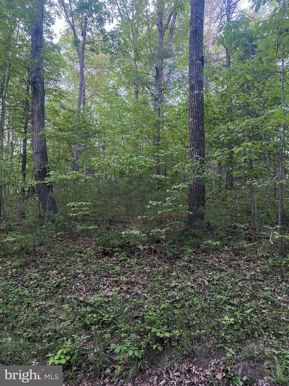 BRYCE MOUNTAIN - Land