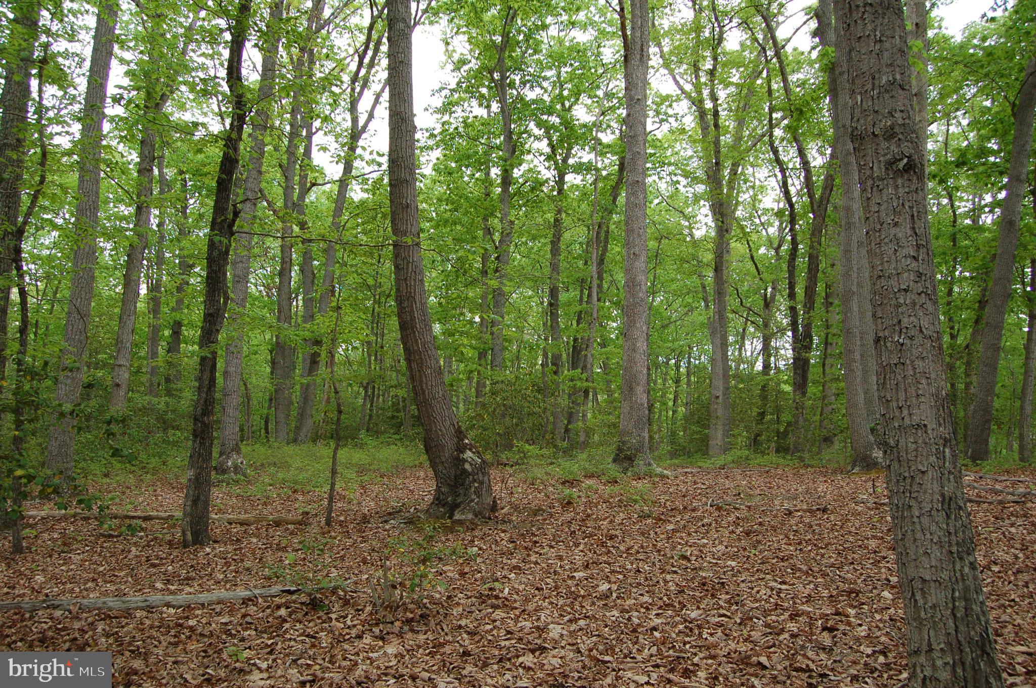 000 TIDEWATER TRAIL