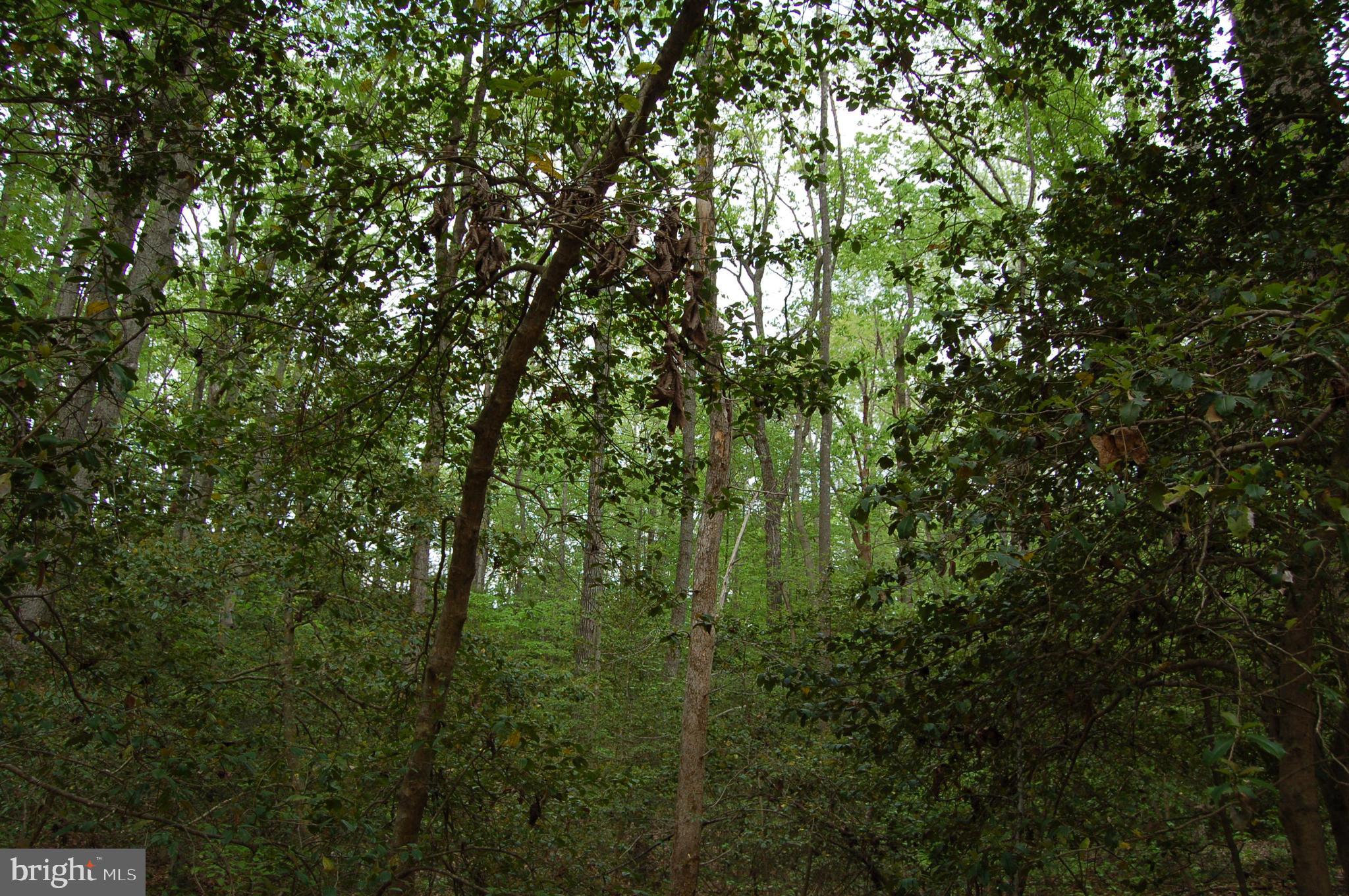 000 TIDEWATER TRAIL