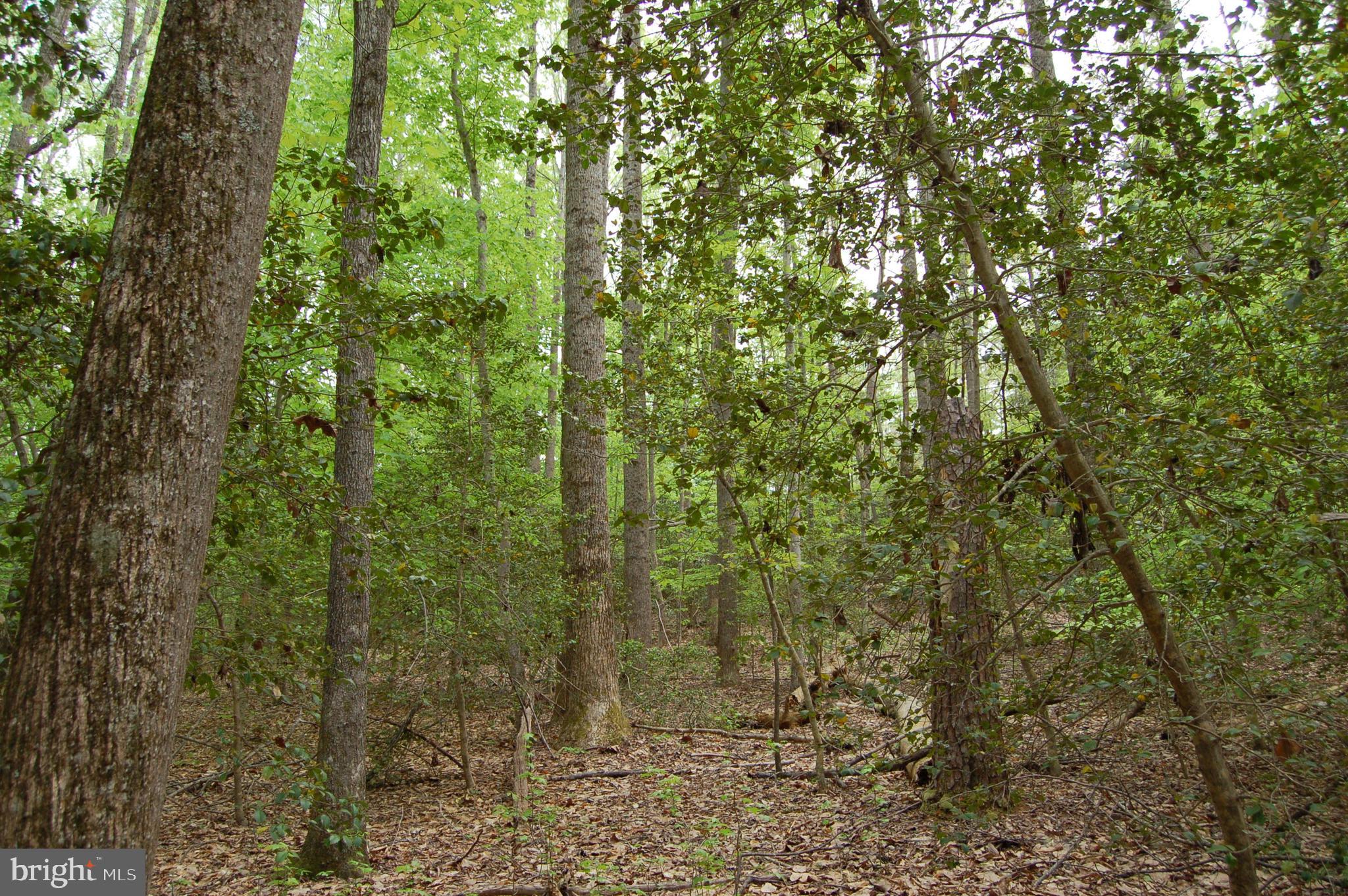 000 TIDEWATER TRAIL