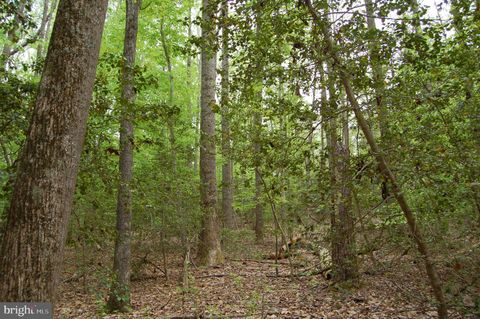 Vacant Land For Sale - 000 Tidewater Trail<br/> Caroline County, RAPPAHANNOCK ACADEMY, VA 22538