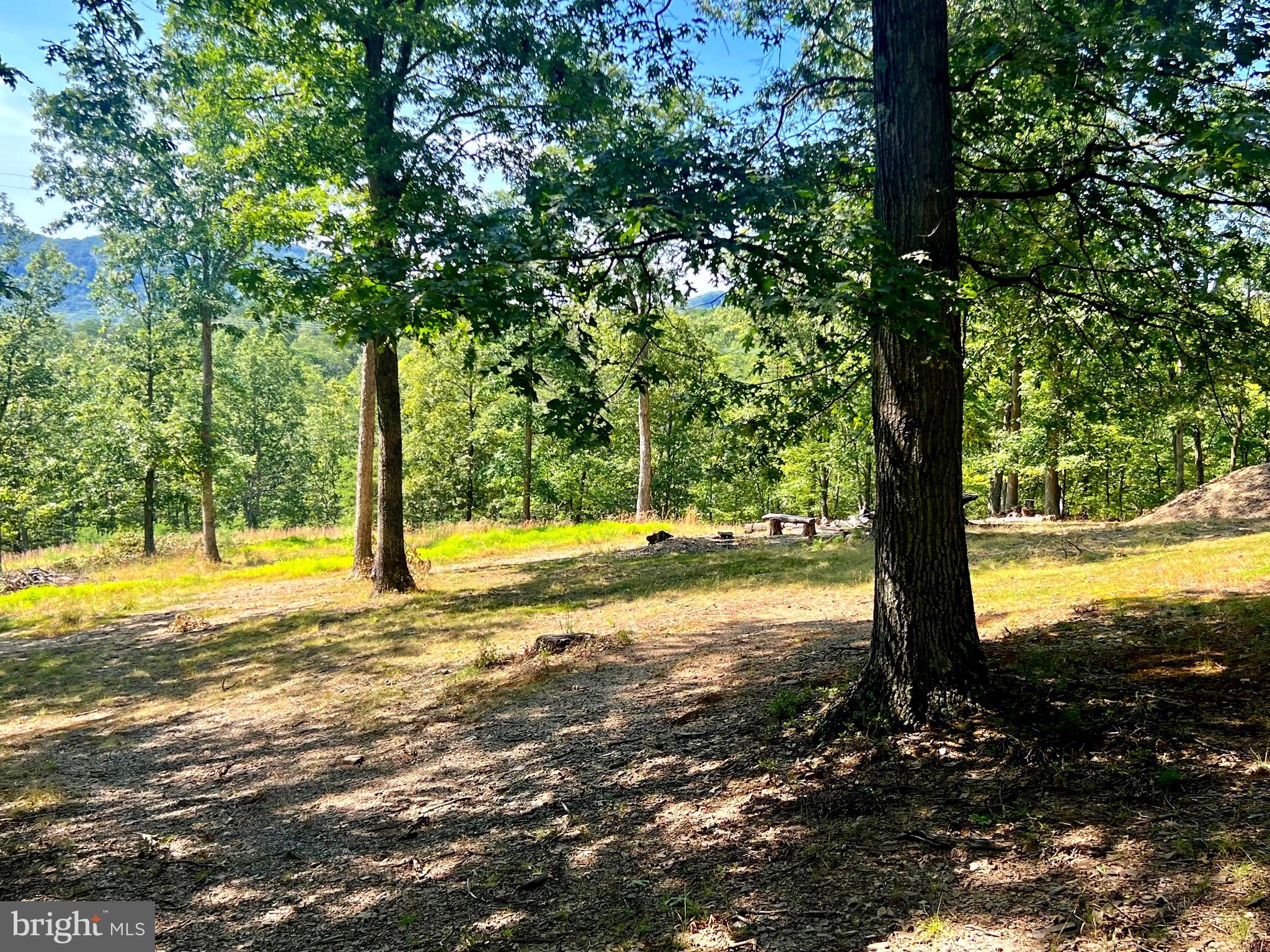 COLONIAL HEIGHTS - Residential