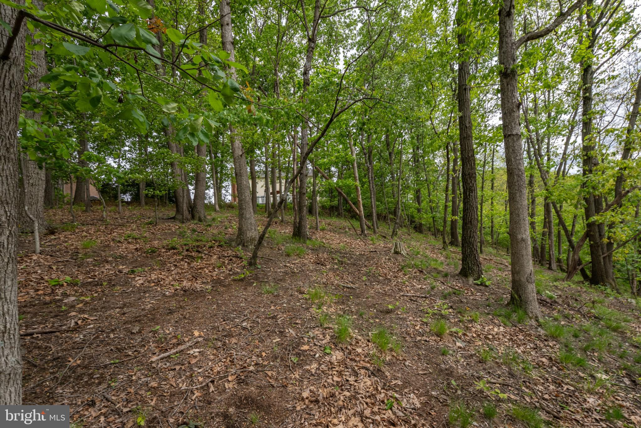GREENCASTLE GREENS - Residential