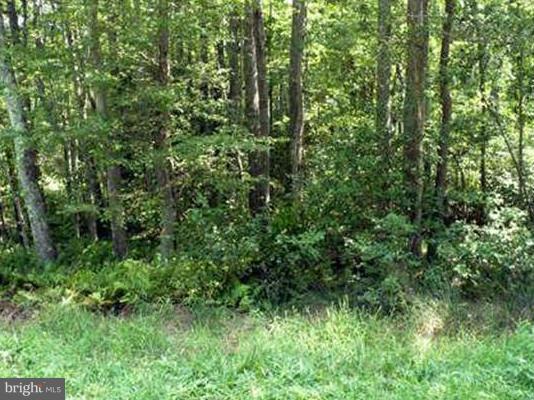 PBE PLACID LAKE - Land