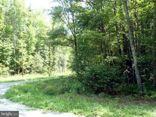 PBE PLACID LAKE - Land