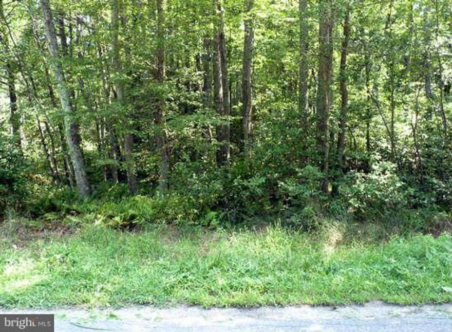 Build-able lot located in Placid Bay Estates,  .23 acres in a water access community, close to boat ramps   Ideally located in Westmoreland county, 30 minutes from Fredericksburg and 60 minutes from Washington DC.