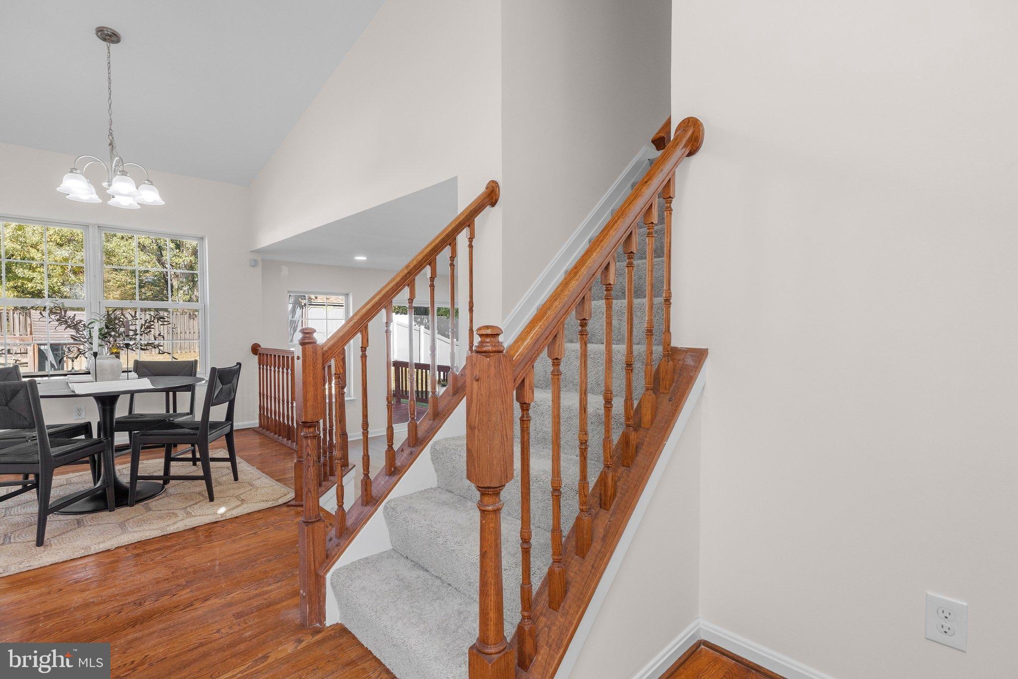 8003 CARLSON