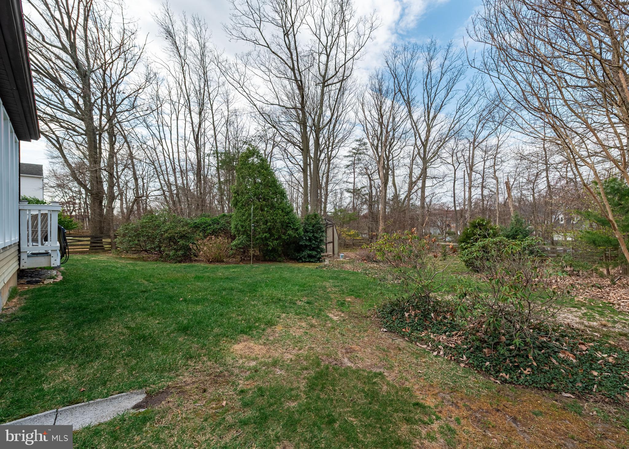 CARDINAL FOREST - Residential