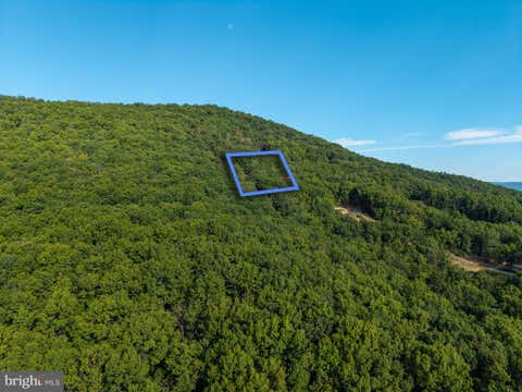 Vacant Land For Sale - LOT B54 Roundhead Mountain<br/> Page County, STANLEY, VA 22851