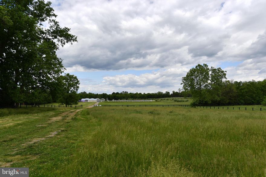 72-Acre Farm with Greenhouse & Versatile Growing Potential – 1070 Wadesville Rd, Berryville, VA 22611 Welcome to a rare opportunity in the heart of Clarke County—this stunning 72-acre farm offers a serene, private setting with a blend of open fields, wooded areas, and functional infrastructure for a wide range of agricultural ventures. Whether you're looking to expand your farming operation or launch a high-yield specialty crop business, this property delivers. At the heart of the land sits a well-equipped greenhouse, ideal for year-round plant propagation and cultivation. The greenhouse is outfitted with alternative lighting systems, offering potential for controlled-environment agriculture, which is perfect for high-value crops, including medicinal or specialty plants. With the proper local approvals and licensing, this could present a compelling opportunity for cannabis cultivation or other indoor growing operations. The land itself is gently rolling and well-maintained, offering a mix of pasture, tillable acreage, and wooded buffers—ideal for rotational grazing, row crops, or agroforestry. Ample road frontage on Wadesville Rd provides convenient access while maintaining privacy and seclusion.